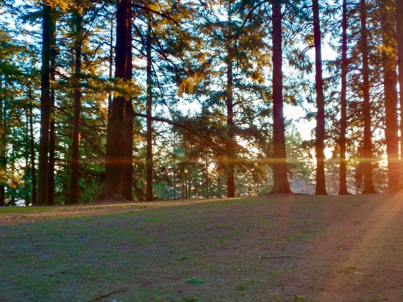 Parade Wave Fit for a Veteran&nbsp;(Reprise)