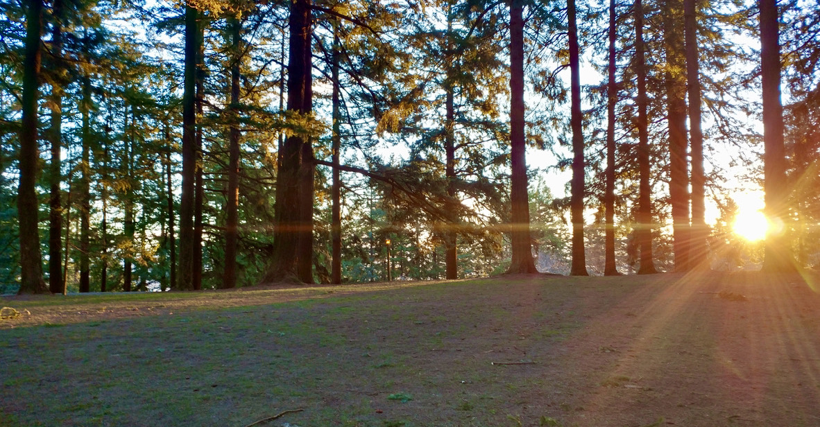 Mt. Tabor Sunrise